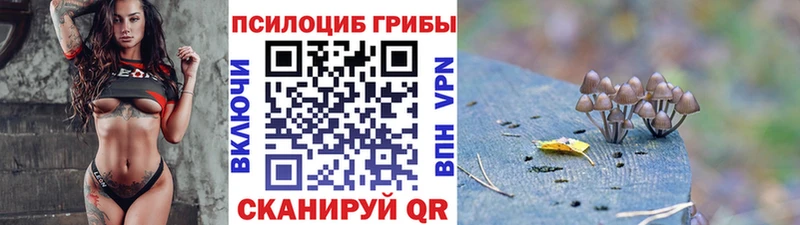Псилоцибиновые грибы Magic Shrooms Елец